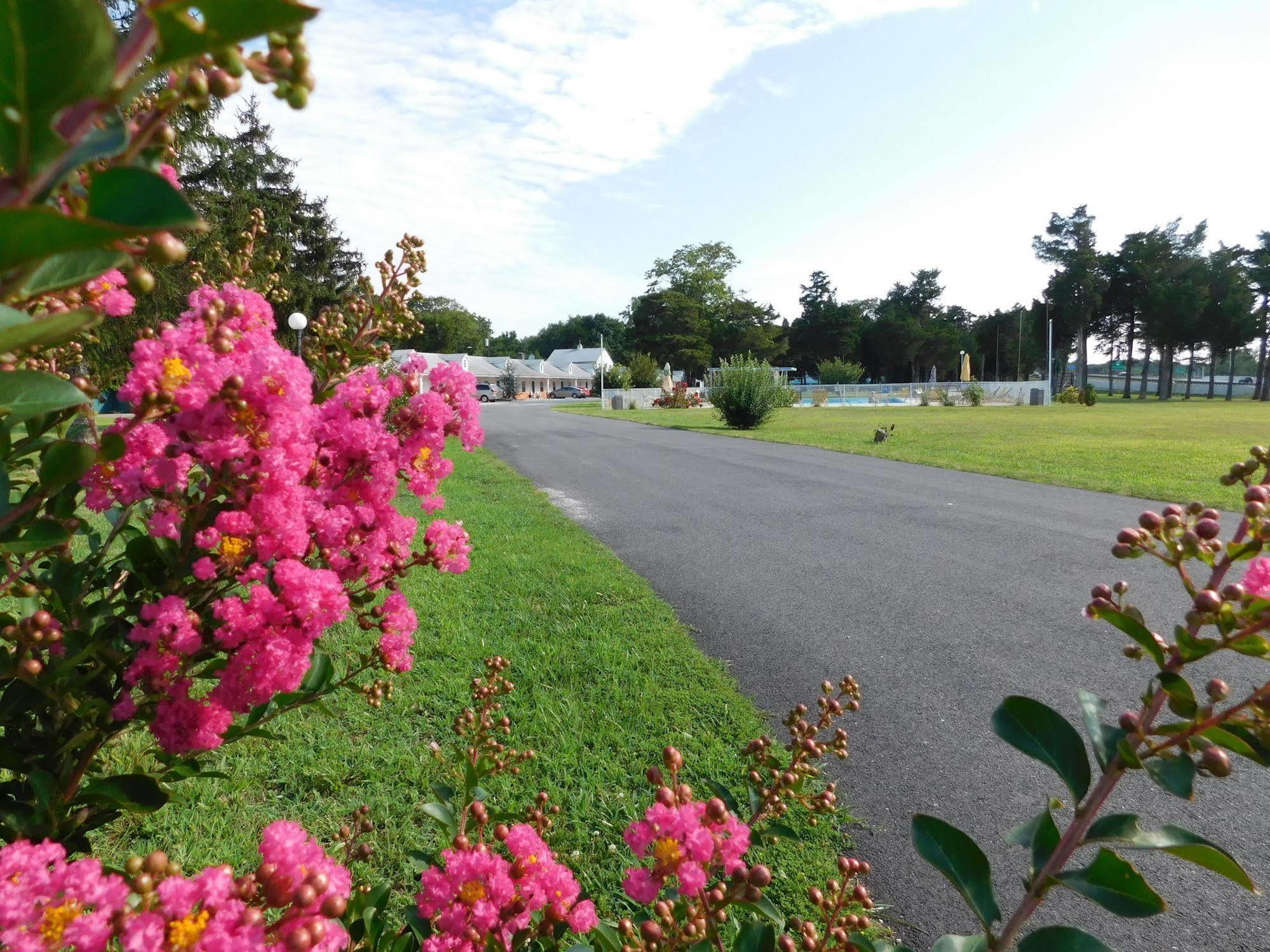 Hyland Motor Inn Cape May Court House Luaran gambar